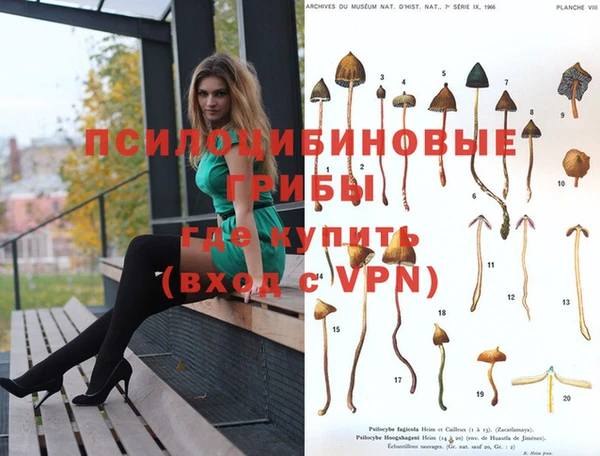 мдпв Надым
