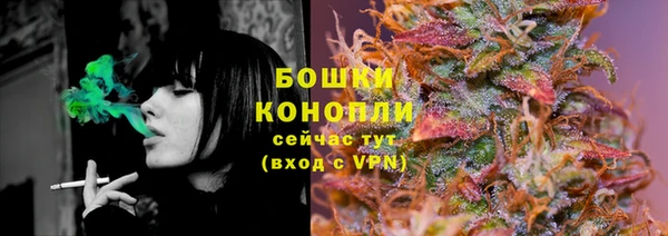 мдпв Надым